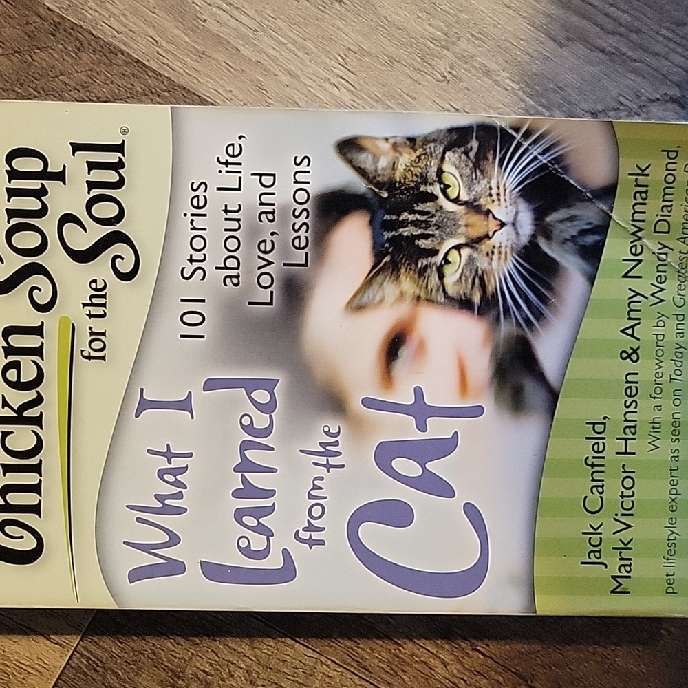 Chicken Soup Foe The Soul Book